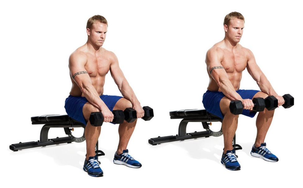 Bodybuilder Training Tips Bodybuilder Training Tips