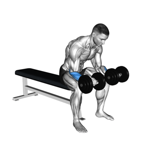 Reverse Dumbbell Wrist Curl (Overhand Grip)