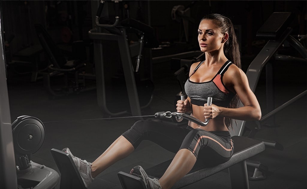 Seated Cable Row Seated Cable Row