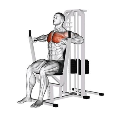 Why Bodybuilders Use the Machine Chest Press