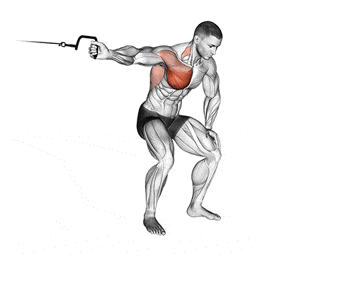 How to Perform the Single-Arm Cable Fly How to Perform the Single-Arm Cable Fly