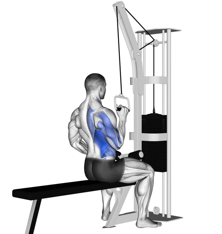 Exercise Purpose: Why Bodybuilders Love It Exercise Purpose: Why Bodybuilders Love It