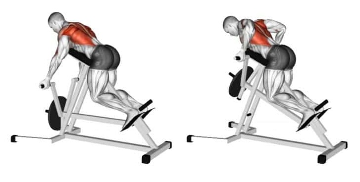 THE CHEST-SUPPORTED MACHINE ROW THE CHEST-SUPPORTED MACHINE ROW