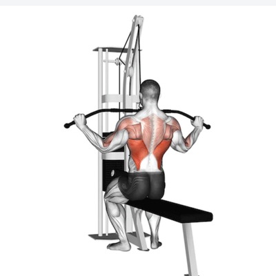 Where It Fits in Your Back Day Where It Fits in Your Back Day