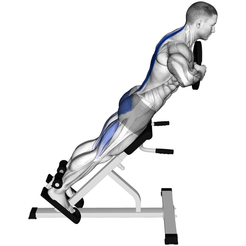 Back Extension Technique Variations Back Extension Technique Variations