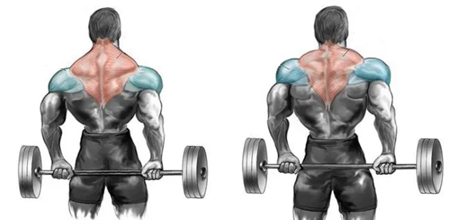 Why Behind-the-Back Shrugs Hit the Traps Differently Why Behind-the-Back Shrugs Hit the Traps Differently