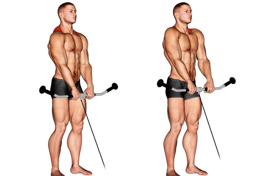 Why Bodybuilders Should Use Cable Shrugs Why Bodybuilders Should Use Cable Shrugs