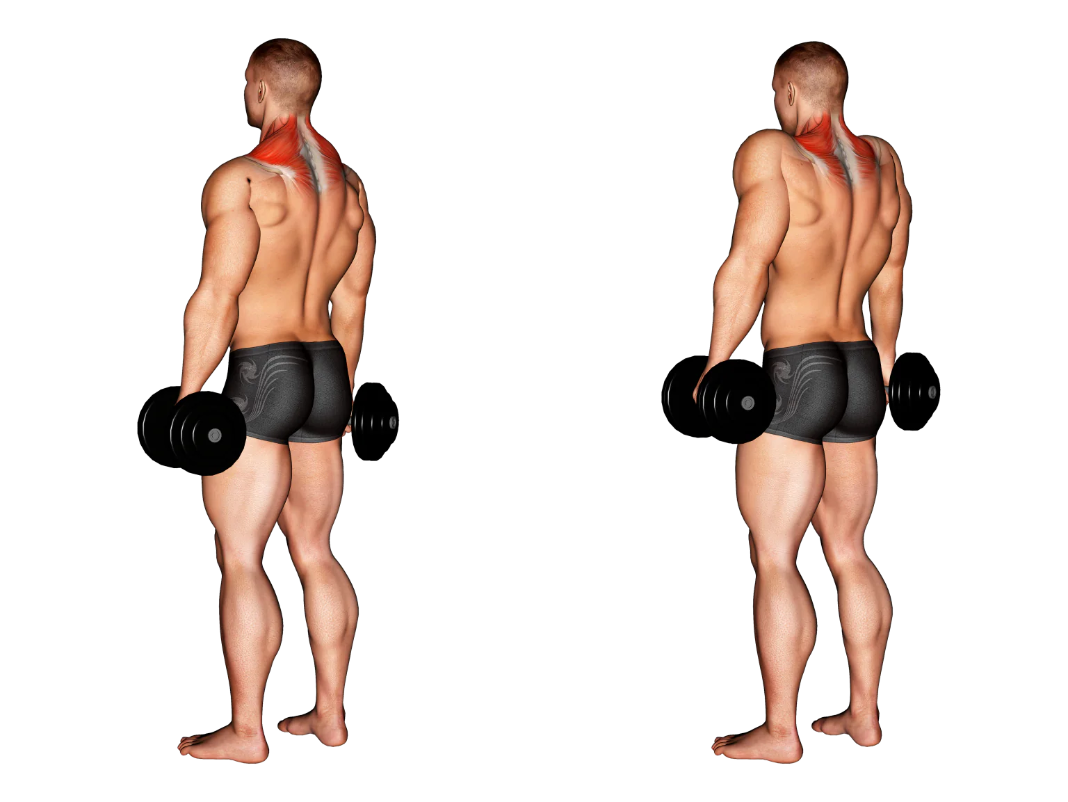 Training Strategies for Maximum Trap Growth