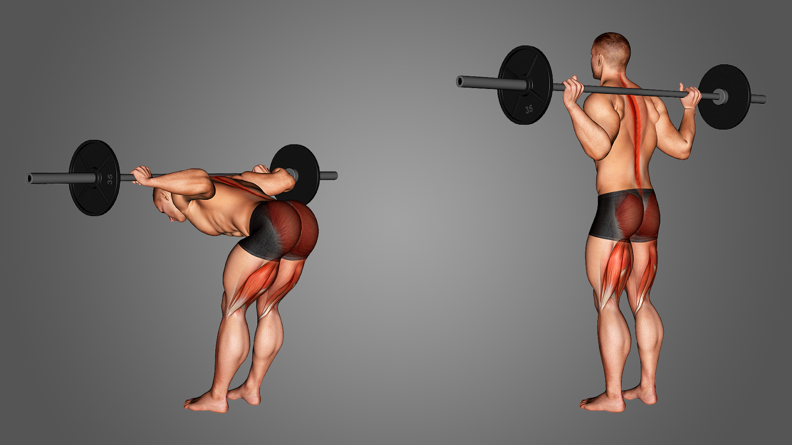 Good Morning Good Morning