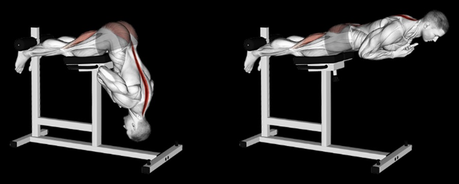 Horizontal Back Extension Horizontal Back Extension