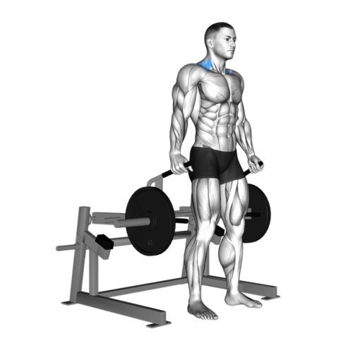 Machine Shrug Machine Shrug