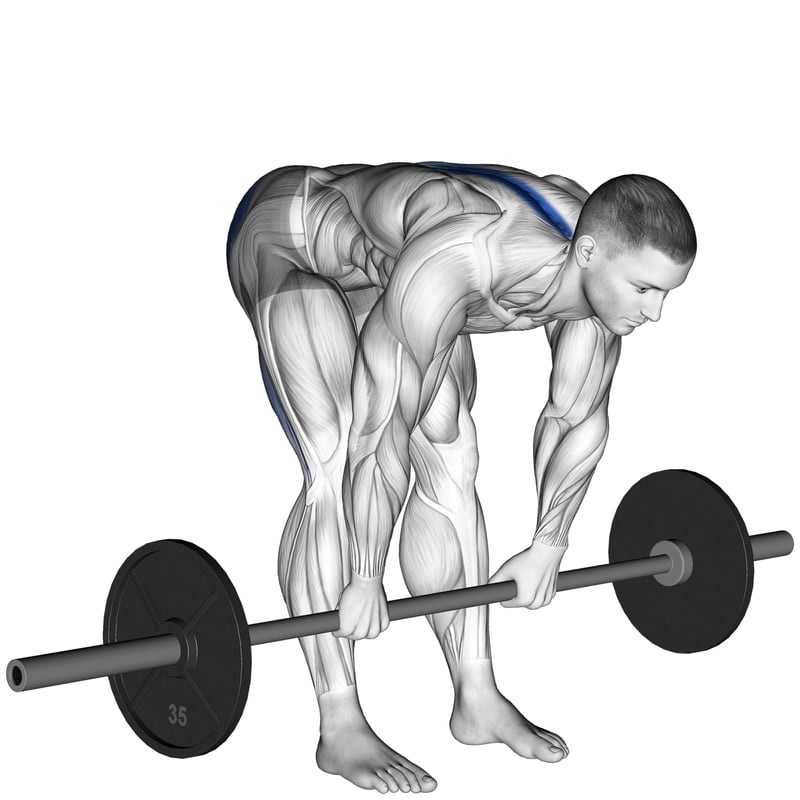 Why Bodybuilders Use It Why Bodybuilders Use It