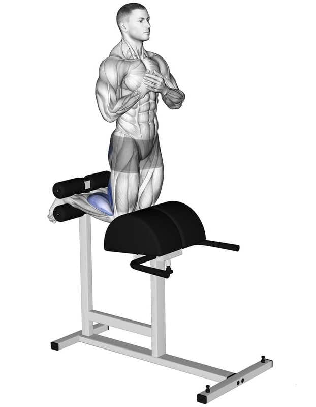 What is the Glute-Ham Raise? What is the Glute-Ham Raise?