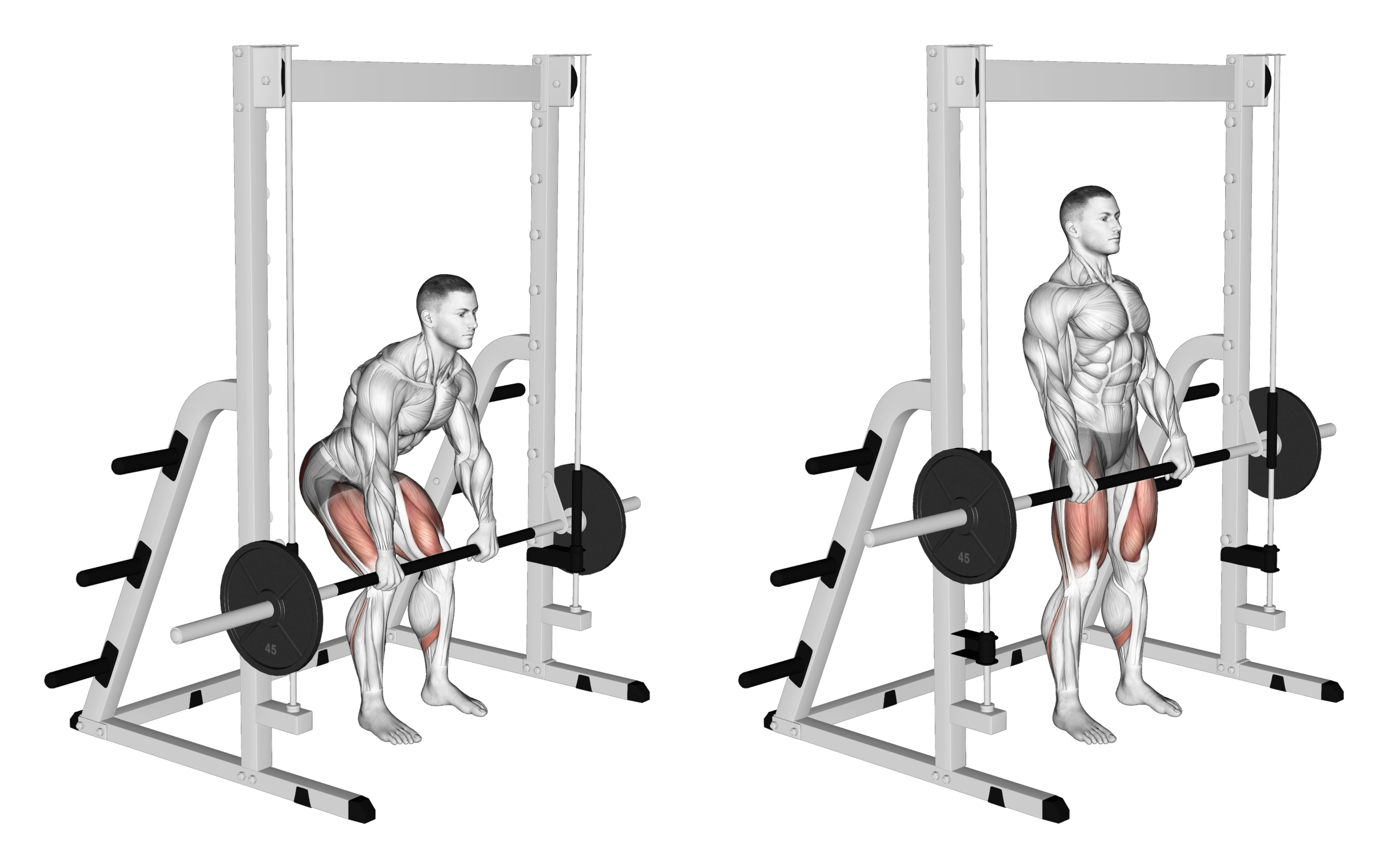How to Perform the Rack Pull How to Perform the Rack Pull