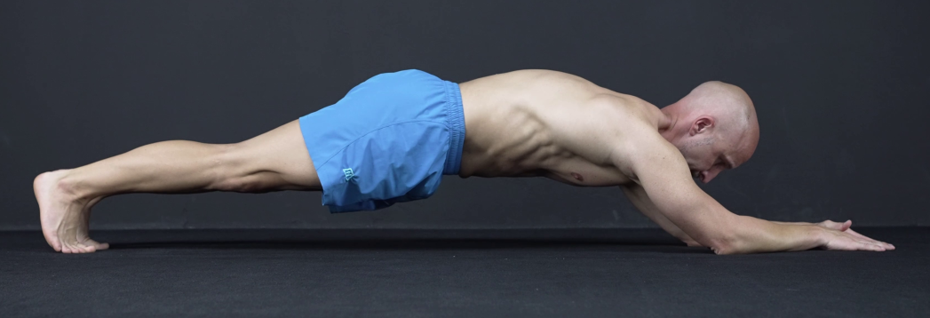 Long Lever Plank